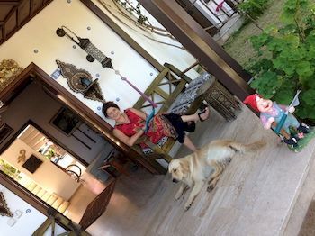 Bed & Breakfast Murat Pa?a Kona??