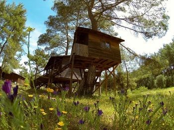 Hotel Olympos Woods - Adults Only