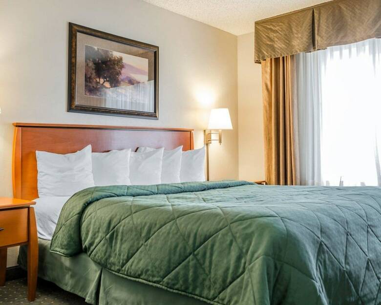 Hotel Quality Inn & Suites