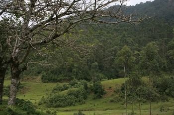 Apartamento Wild Elephant Eco-friendly Resort