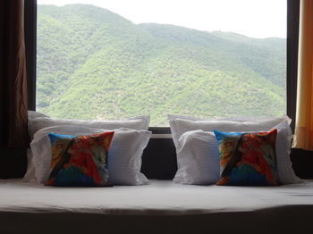 Hotel Raj Garden,pushkar