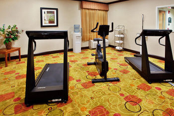 Holiday Inn Express Hotel & Suites Anderson-i-85