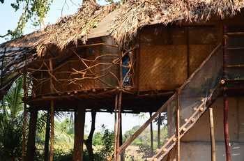 Saraya Art Cafe Bed And Breakfast