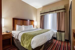 Hotel Comfort Suites Sulphur