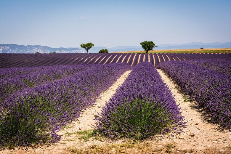 Hotel H�tel Provence