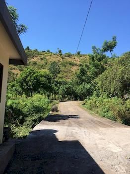 Hotel Star East Bungalows