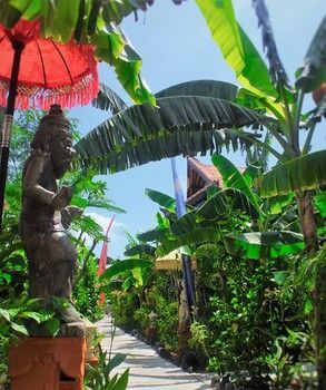 Hotel Mahogany Cottage