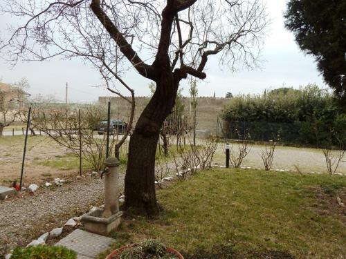 Bed & Breakfast Relais Il Colle Verde