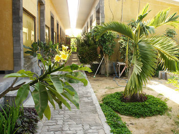 Bidadari Hotel