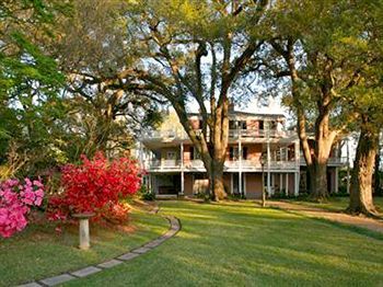 The Elms Bed And Breakfast