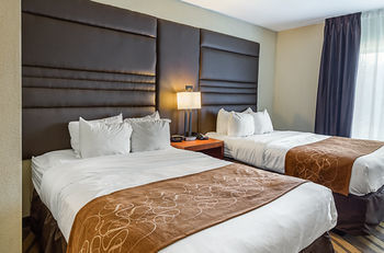 Hotel Comfort Suites