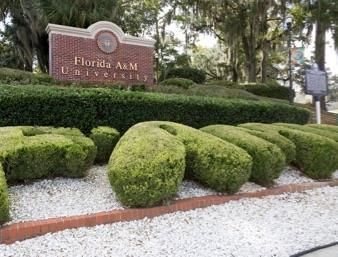 Motel Super 8 Madison Fl