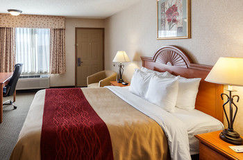 Hotel Comfort Inn Lexington