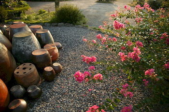 Hotel B&B Healing Garden