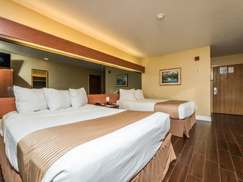 Hotel Microtel Inn & Suites By Wyndham Ocala