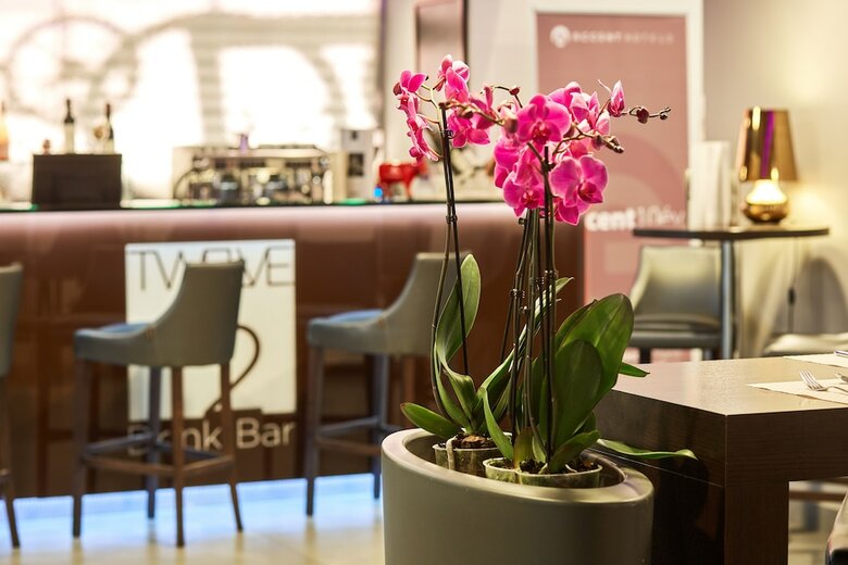 12 Revay Hotel
