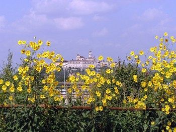 B&B Il Poggiolo Delle Rose