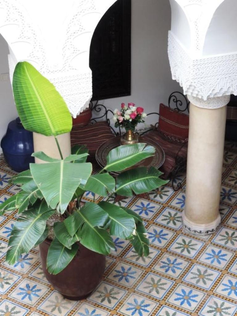 Albergue Riad Adriana