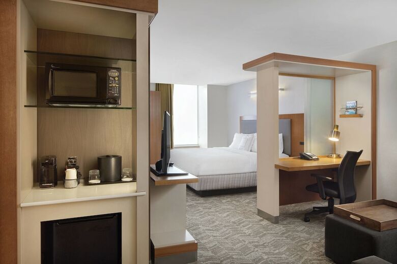 Hotel Springhill Suites By Marriott Indianapolis Downtown