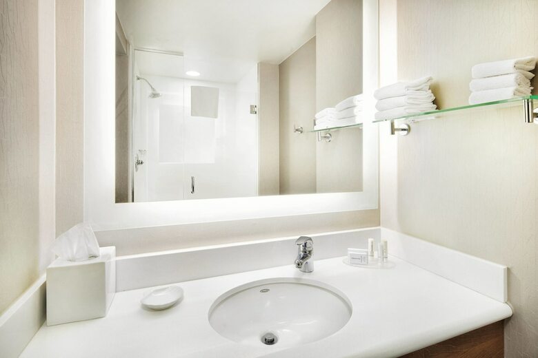 Hotel Springhill Suites By Marriott Indianapolis Downtown