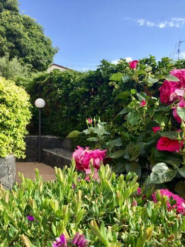 Apartamento Etna Royal View