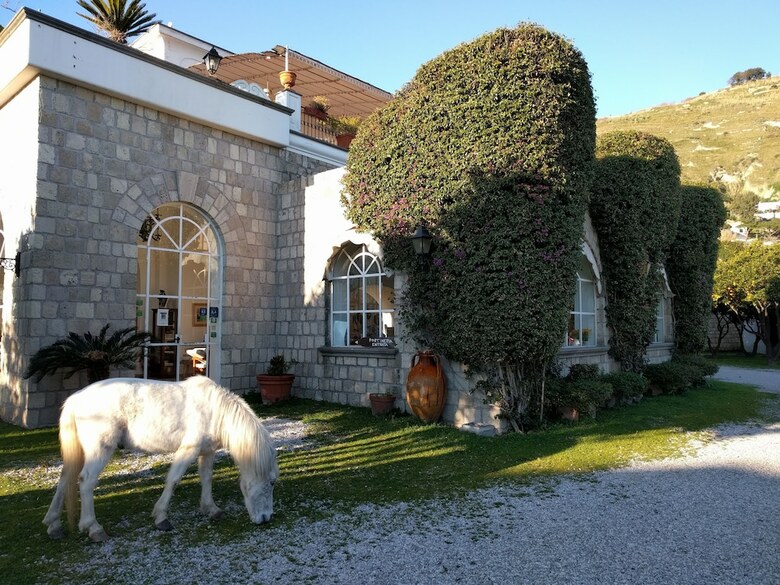 Hotel Villa Tara