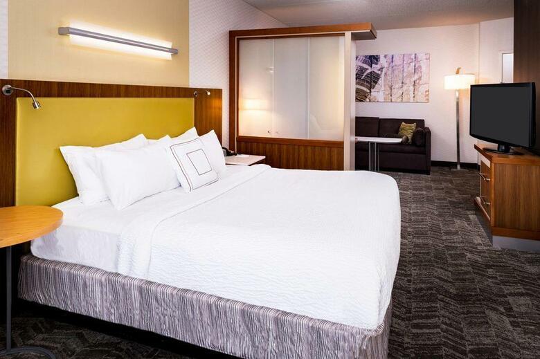 Hotel Springhill Suites By Marriott Pittsburgh Southside Works
