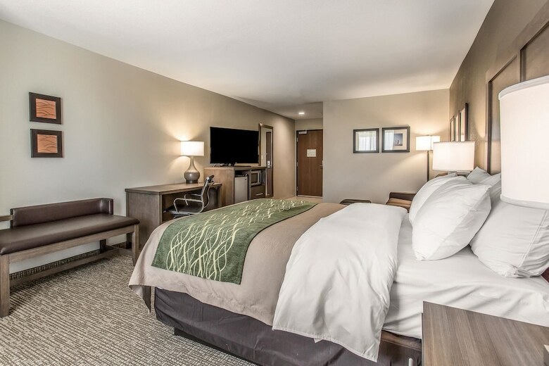 Hotel Comfort Inn & Suites