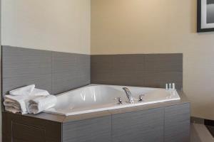 Hotel Comfort Inn & Suites