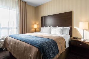 Hotel Comfort Inn & Suites