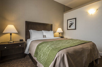 Comfort Inn Surrey Hotel