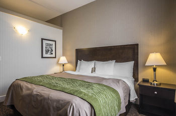 Comfort Inn Surrey Hotel
