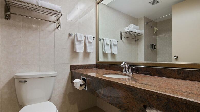 Hotel Best Western Plus Ottawa City Centre
