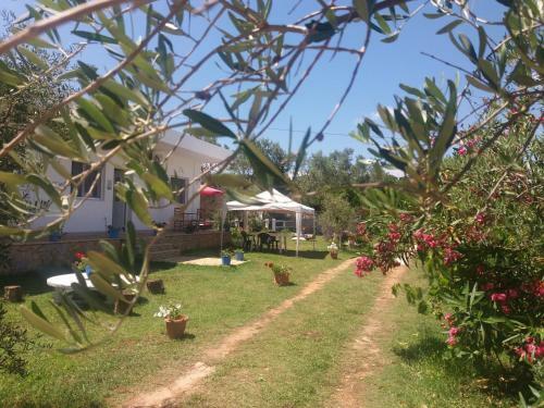 Bed & Breakfast Ridavillage