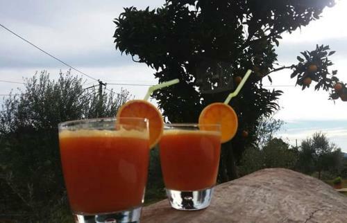 Bed & Breakfast Ridavillage