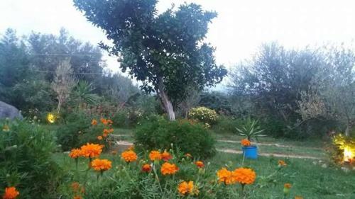 Bed & Breakfast Ridavillage