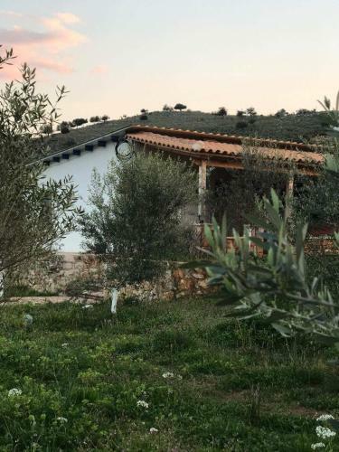 Bed & Breakfast Ridavillage