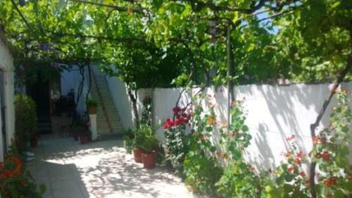Hostel Kor�a Xharshe