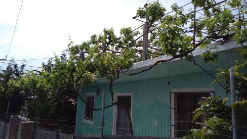 Kenos Hostel
