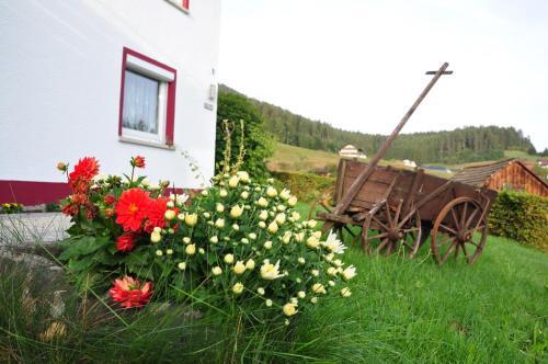 Hostal Guesthouse Elbassel