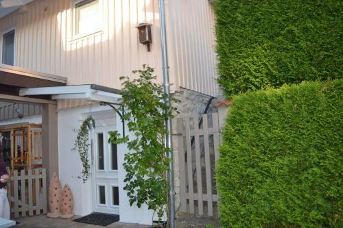 Ferienhaus Luftschnapper
