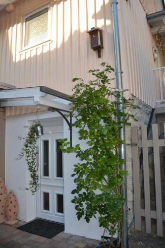 Ferienhaus Luftschnapper