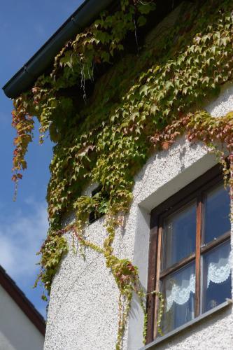 Hotel Am Regenbogen