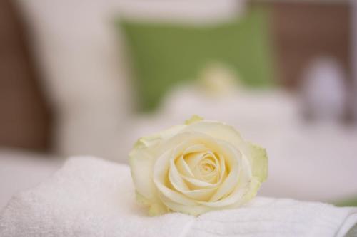 B&B Kukione