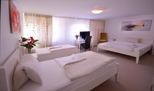 Alpha-hotel Garni