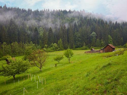 Apartamento Haus Am Kaltenbach
