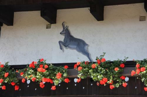 Hostal Pension Blauer Gamsbock