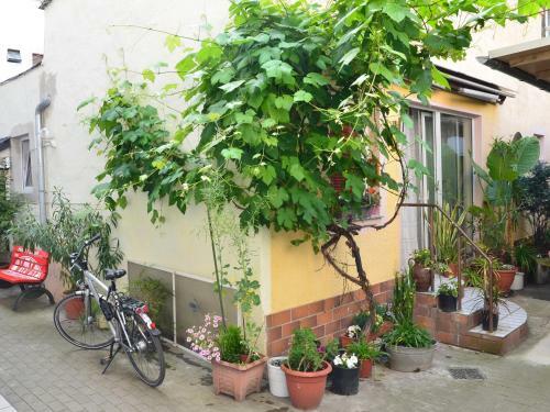 Hotel Zum Hafen