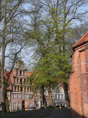 Hostal Gast In Hedwigs Haus Auf Dem Meere