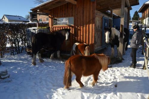 Apartamento Ferien Bei Freunden Im Holzhaus